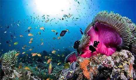 富国海底世界好玩吗 富国海底世界和太平洋海底世界哪个好玩