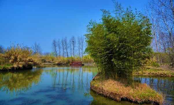泰州溱湖 2020泰州溱湖国家湿地公园门票交通和景点介绍