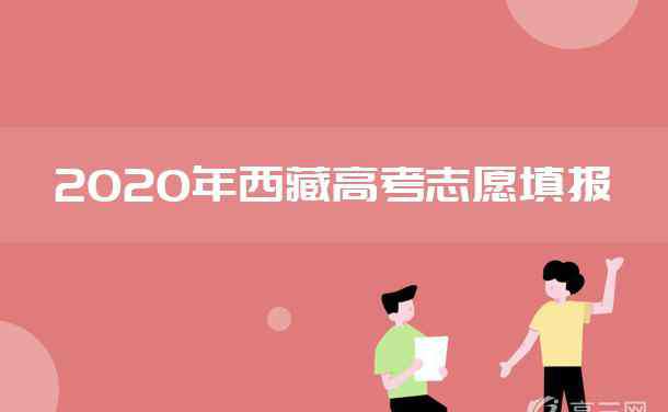 北津学院教务网 2020年西藏高考艺体类专科提前批及本科二批征集志愿招生计划