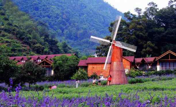 德庆旅游 2020肇庆德庆盘龙峡景区介绍及游玩攻略