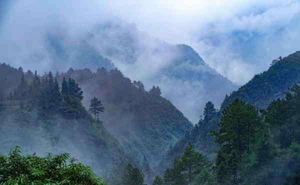 黑山谷一日游 2020重庆黑山谷旅游攻略 重庆黑山谷自助游 重庆黑山谷门票交通景点介绍