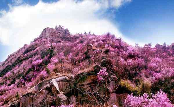 大珠山门票 2020大珠山风景区开放时间 门票预约和优惠政策