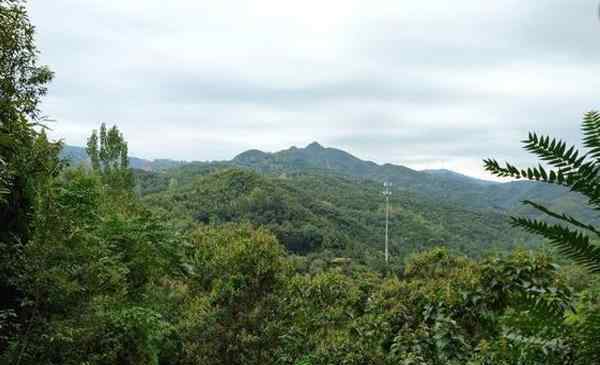 环翠峪风景区 2020环翠峪风景区旅游攻略 环翠峪风景区门票价格