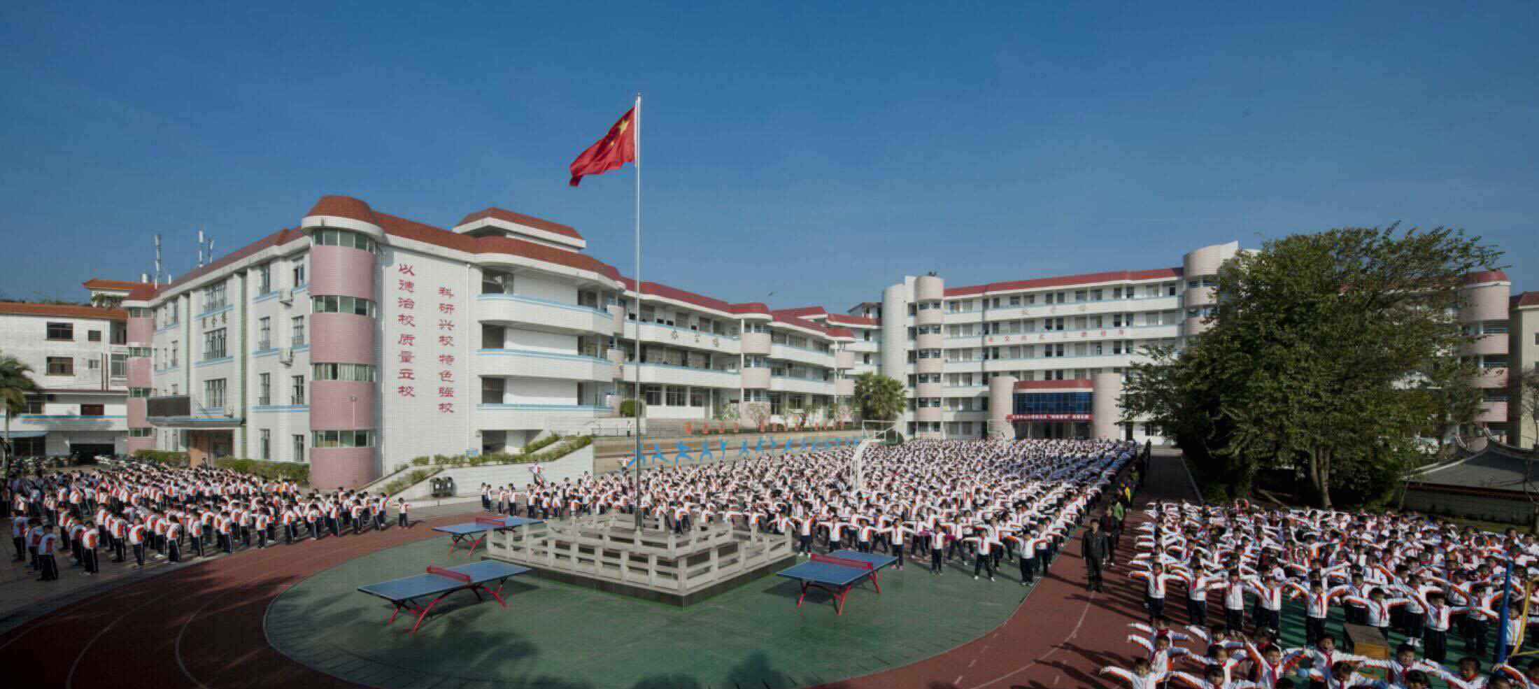 德化教育 德化县龙浔中心小学2019年秋季招生通告