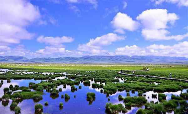 若尔盖花湖 2020若尔盖花湖风景区旅游攻略 若尔盖花湖风景区门票价格