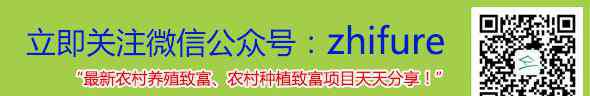 甲鱼养殖 家里养甲鱼风水