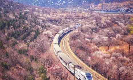 居庸关花海 居庸关花海火车怎么坐 居庸关花海火车拍摄地点推荐