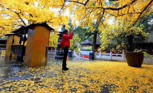 北京郊区自驾游 2019北京郊区自驾游游玩攻略