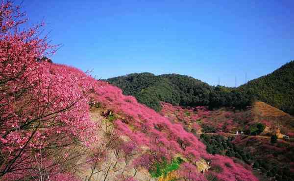 溪口旅游攻略 2020宁波溪口风景区旅游攻略 宁波溪口风景区门票交通天气景点介绍