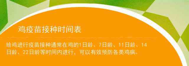 接种疫苗时间表 鸡疫苗接种时间表