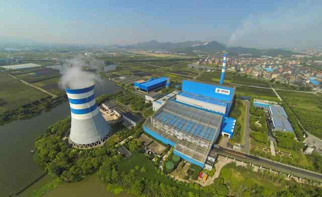 鸡粪 鸡粪还能发上亿度电！亚洲最大鸡粪发电厂，中国仅用5亿只鸡打造