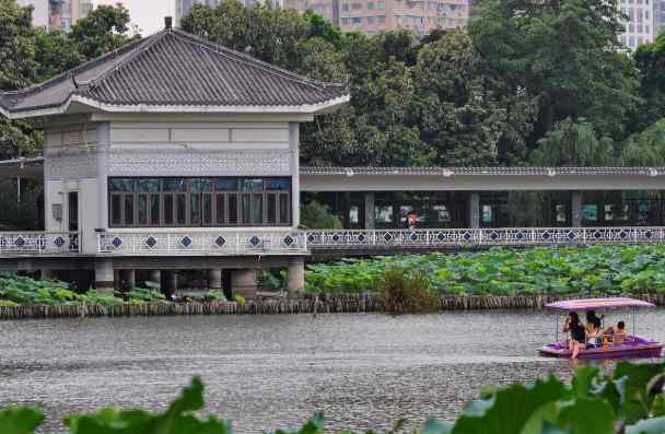 荔湾湖公园 2020广州荔湾湖公园门票交通及景区介绍