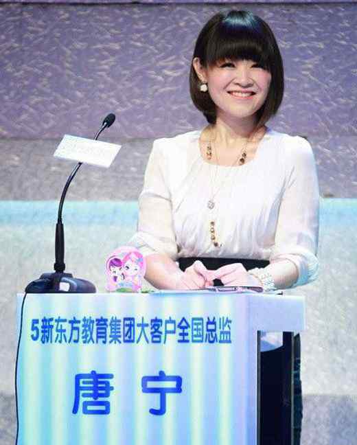 唐宁 新东方 新东方唐宁老公王晨资料介绍