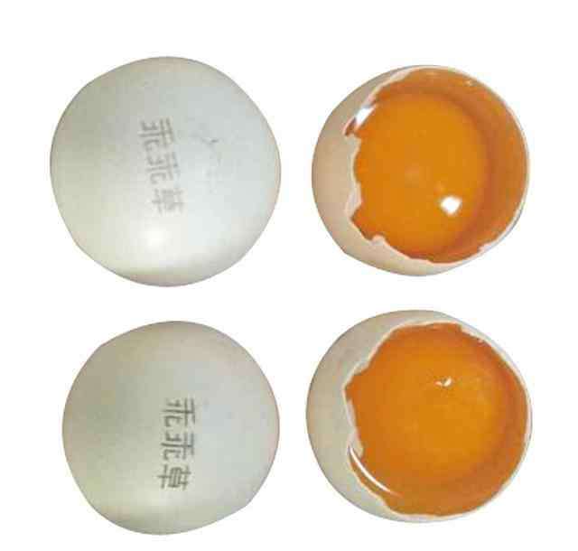脑黄金 鸡蛋也疯狂--神奇的DHA鸡蛋文章配图