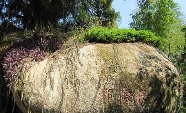 青芝山 2020青芝山旅游攻略 青芝山门票价格