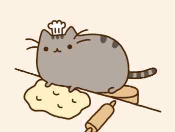 胖吉猫 胖吉猫pusheen：每日一萌喵~