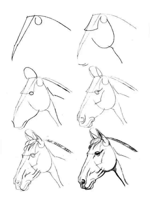 马的画法 简笔画教程，马的画法