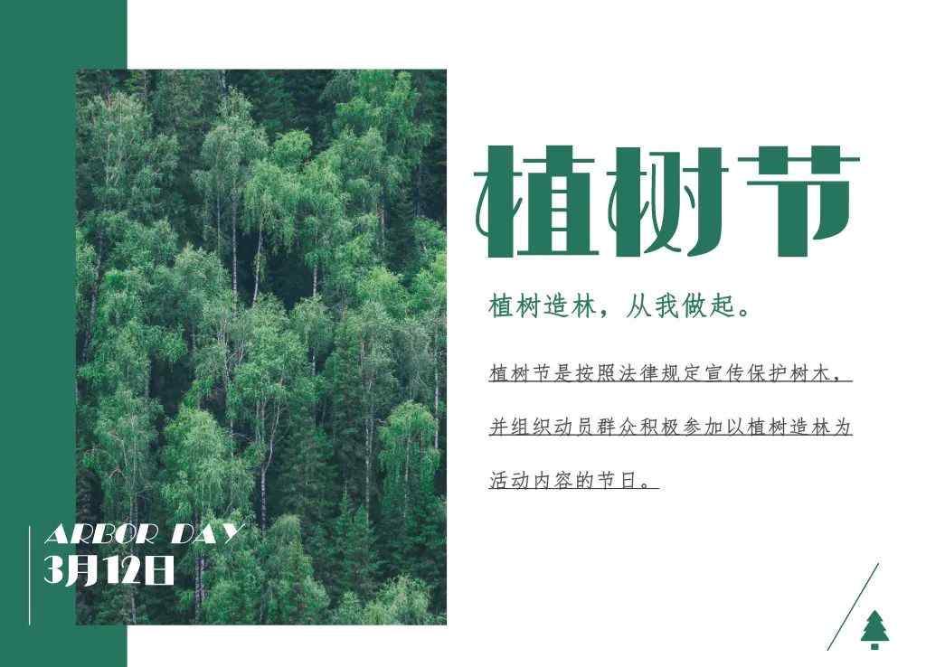 青岛植树 今天，青岛人可以云植树啦！