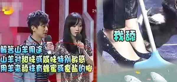杨幂脚 亲身经历告诉你，杨幂的脚到底臭不臭！