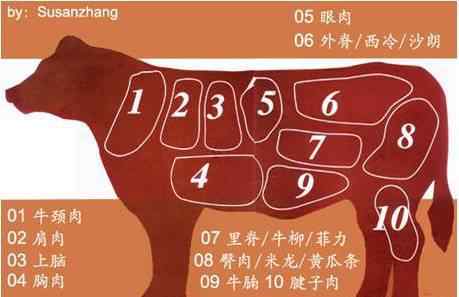 牛肉部位 最全牛肉部位名称认识和做法