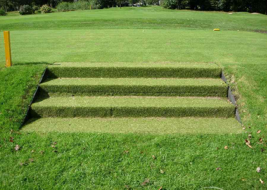 草坪用什么草 草坪地毯—认识什么是草坪地毯