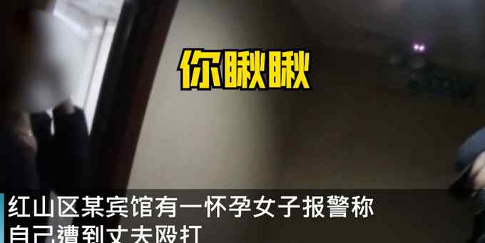 男子酒后家暴殴打孕妻 民警一招制服后怒吼：她还怀着孕呢！