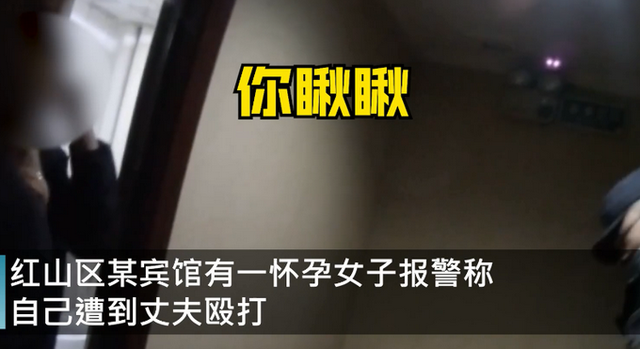 男子家暴孕妻被民警一招制服 处以治安拘留10日 真相到底是怎样的？