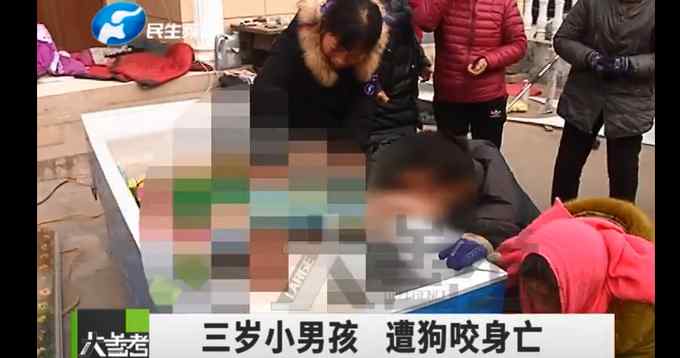 痛心！河南3岁男童被邻居看门狗咬死 孩子父亲回应：狗很凶 常年不拴