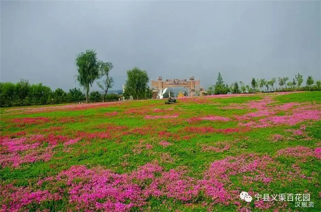 樱桃在林地 撂荒山地变花园　群众吃上“旅游饭”——记全国旅游示范村宁县瓦斜乡永吉村