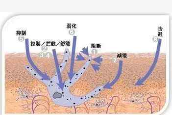 神经酰胺 揭秘丨风靡护肤界的烟酰胺和神经酰胺到底是什么？