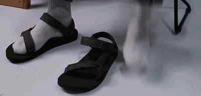 teva鞋 凉鞋测评 | Teva、KEEN 和 SUICOKE，三巨头到底哪家强？