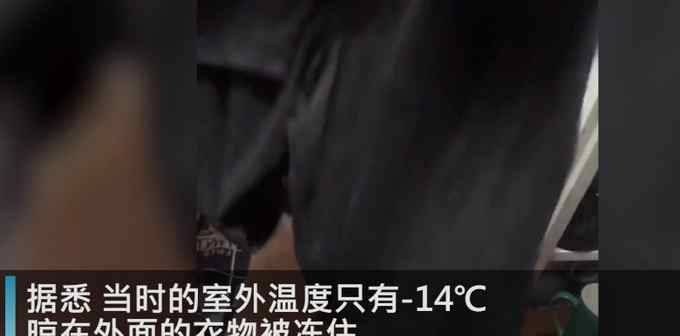 东北大学生用冻硬裤子切黄瓜 裂开瞬间南方舍友秒愣住 网友：这波操作厉害了