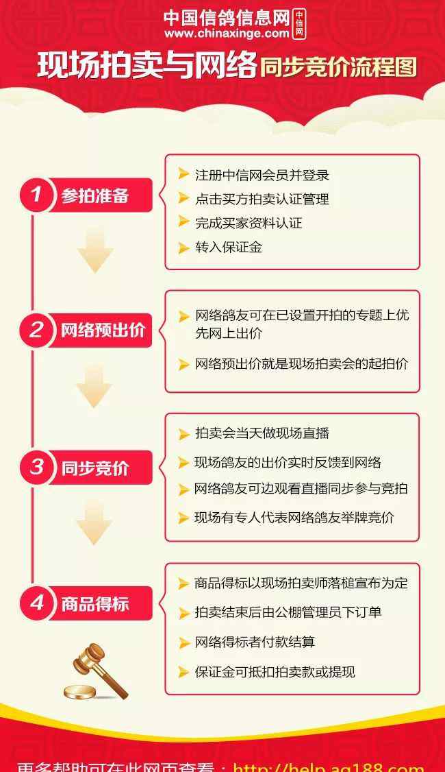 包头爱亚卡普赛鸽公棚 “八冠王”风采照人 包头爱亚卡普的鸽子真心不一般！