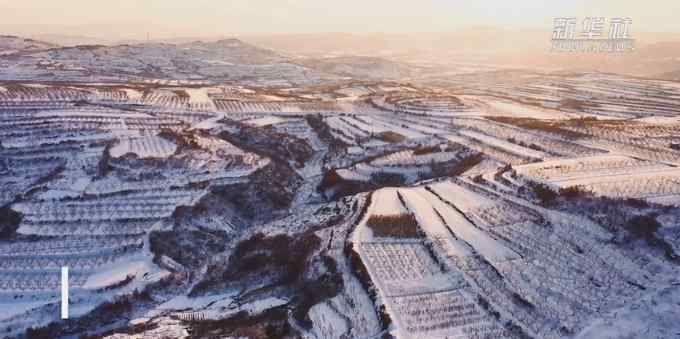 山东雪后盐田似眼影盘 网友：真正的大地色眼影 还挺好看！