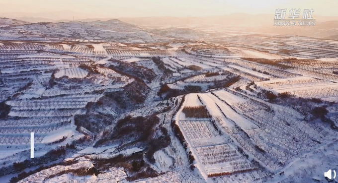 山东雪后盐田似眼影盘 网友：真正的大地色眼影 还挺好看！