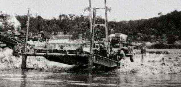 蛇灾 1983年蛇灾：大洪水让蛇无家可归，居民以为有天灾发生
