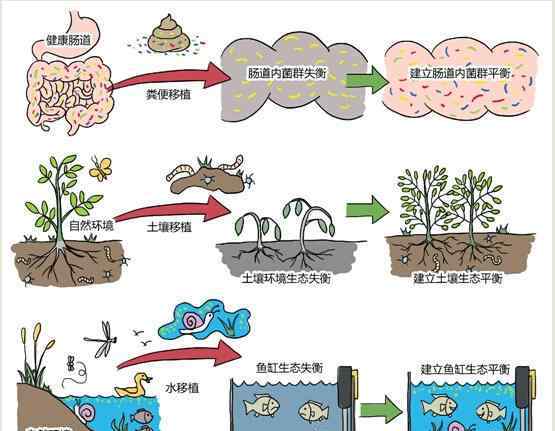 肠炎大便图片 医生用妈妈粪便治愈儿子肠炎 今后或有粪便胶囊