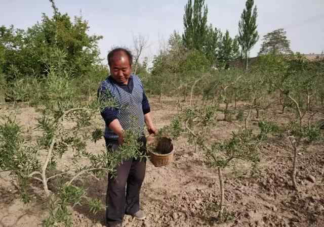 手工喷绘 高手在民间 手工喷绘绘出精彩人生