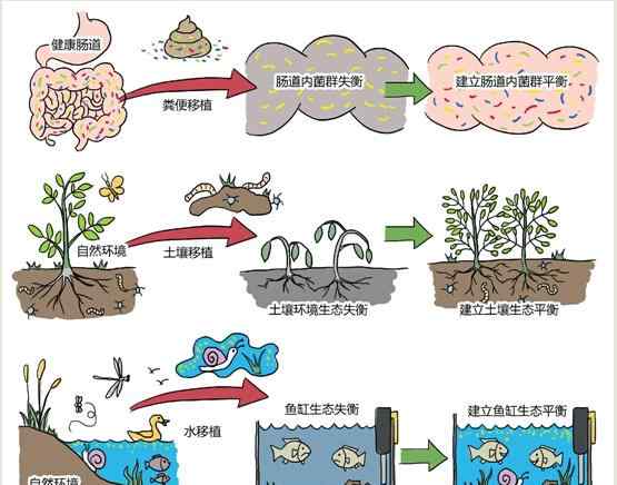 肠炎大便图片 医生用妈妈粪便治愈儿子肠炎 今后或有粪便胶囊