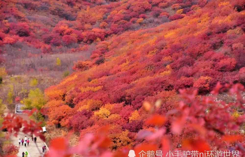 11月份旅游景点推荐 11月绝美旅游地推荐！错峰出游，这些地方已经美成仙境