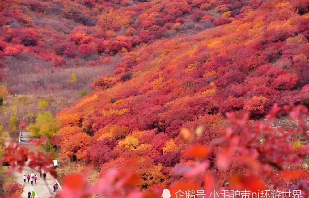 11月份旅游景点推荐 11月绝美旅游地推荐！错峰出游，这些地方已经美成仙境