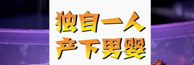 女子趁午休回家生娃后继续上班 孩子放在邻居家门口 对此大家怎么看？