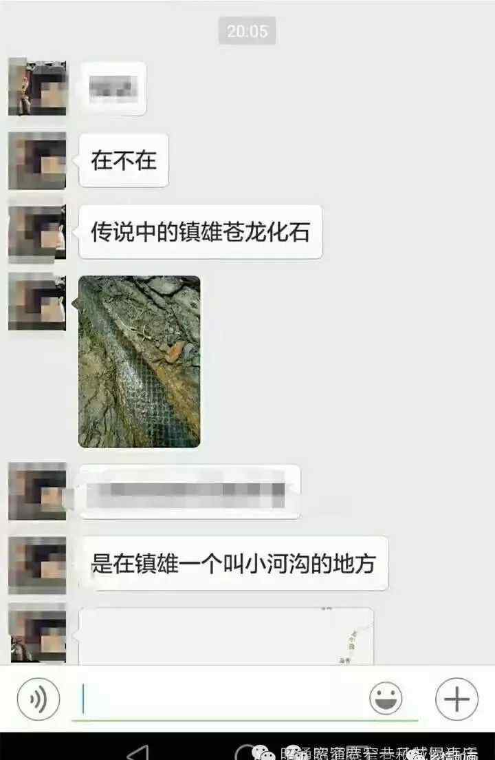 发现龙 云南多次发现过“龙”，是真是假？据说很多人看到过……