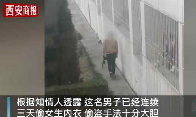 太离谱！男子爬宿舍防盗网偷大学女生内衣 监控记录作案过程