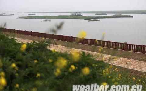 洞庭湖是我国第几大淡水湖 洞庭湖面积缩到不足原来一半 曾是第一大淡水湖