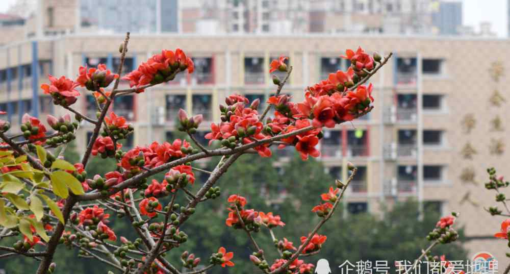 理科女生适合学什么专业 理科女生和文科女生各适合什么专业