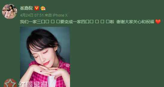 张嘉倪老公 张嘉倪怎么嫁得这么好 张嘉倪老公是做什么的