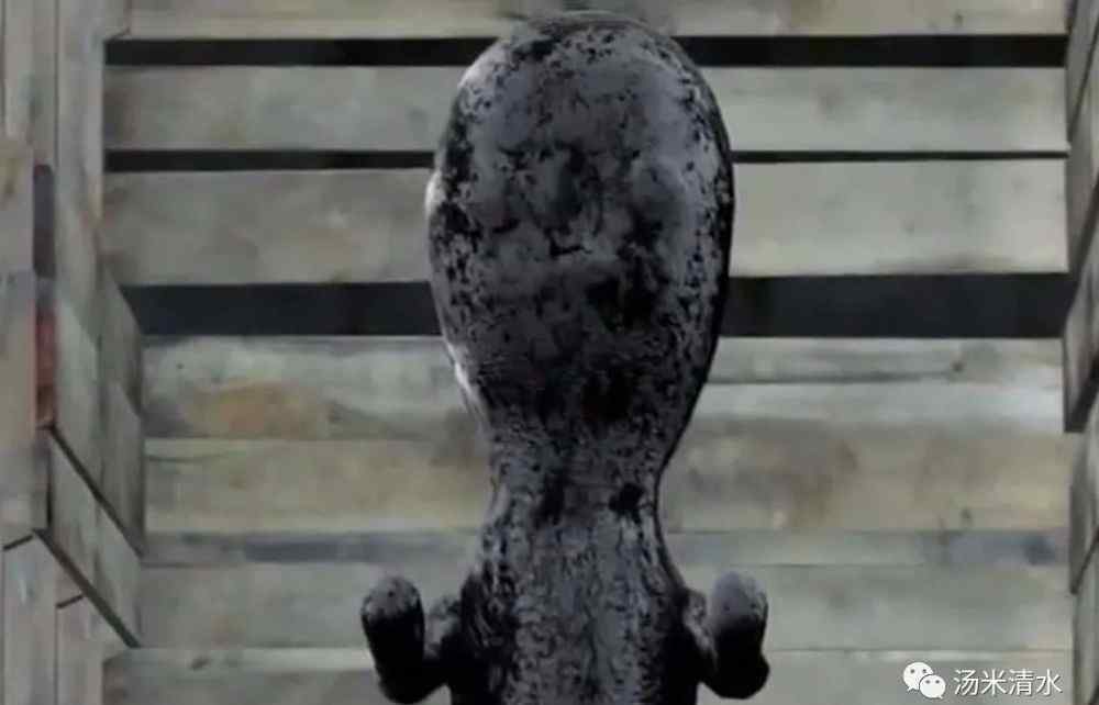 scp173结局 迷你世界 scp173的起源和结局