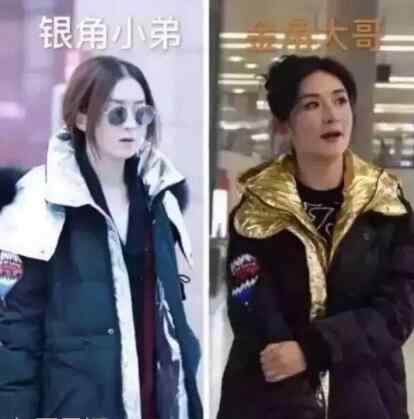 二弟 谢娜二弟什么梗 谢娜叫赵丽颖二弟是哪个综艺