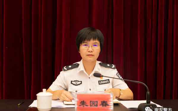 崇左市公安局 崇左市公安局召开全市公安机关 扫黑除恶专项斗争冲刺会